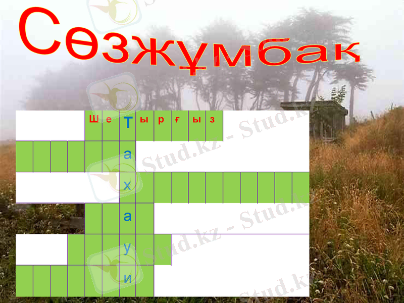 Slide 9