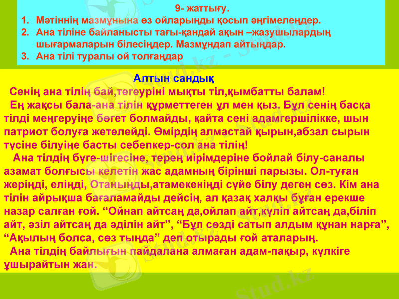 Slide 7
