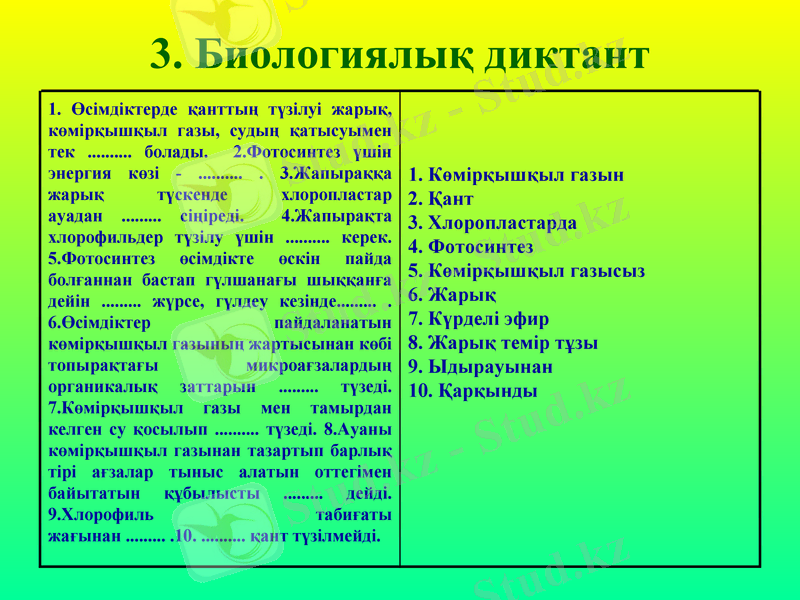Slide 11