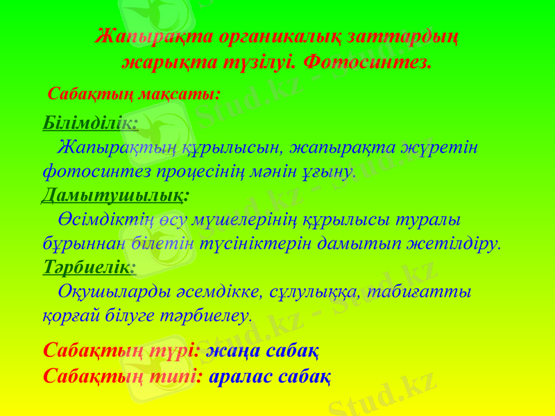 Slide 2