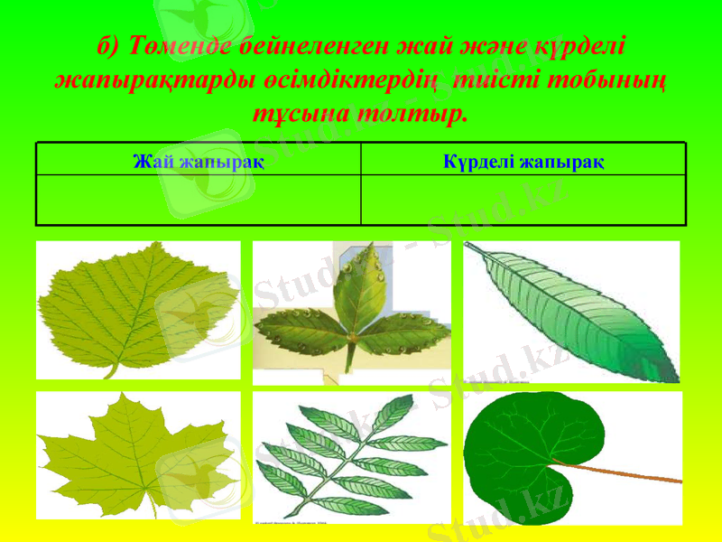 Slide 5