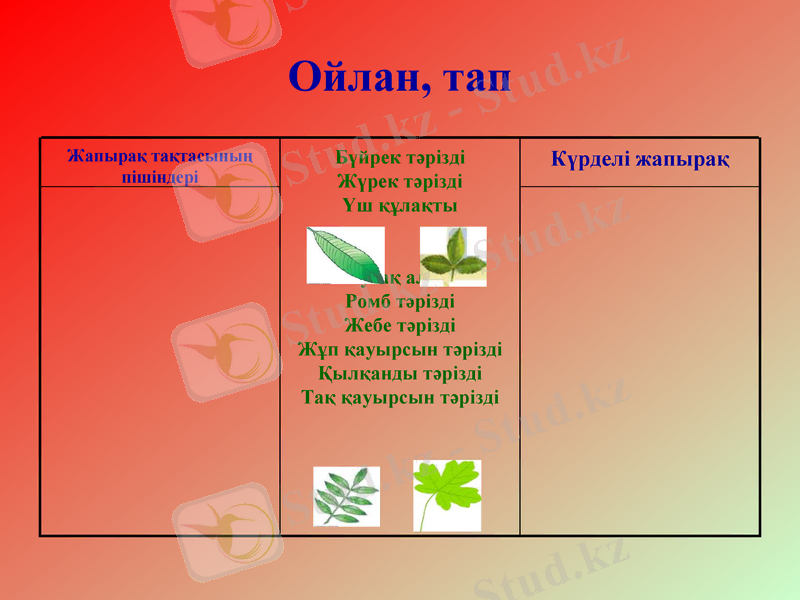 Slide 6