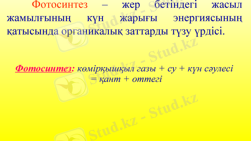 Slide 7
