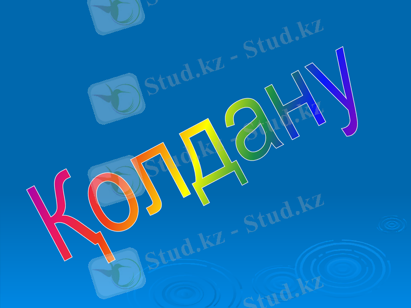 Slide 13