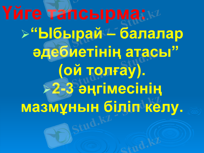 Slide 24