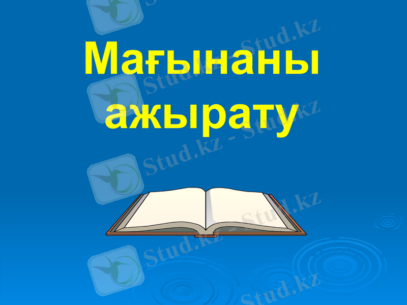 Slide 6
