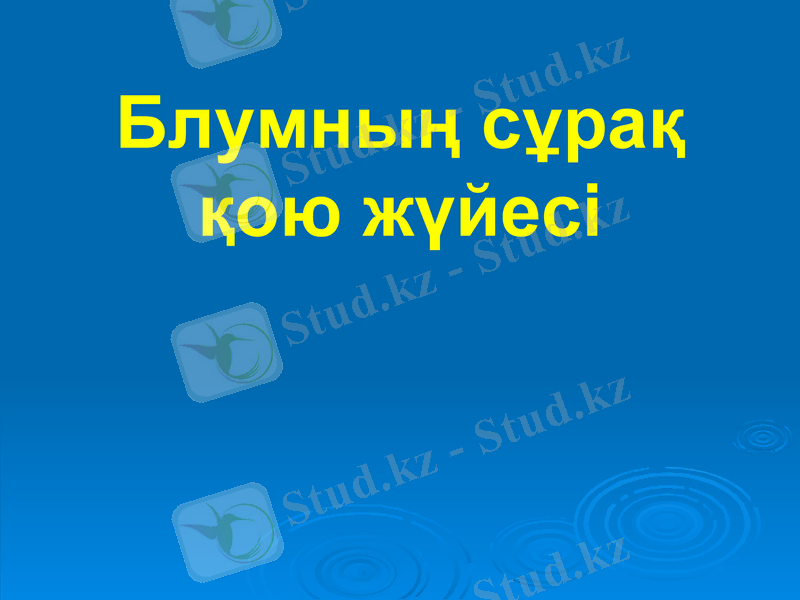 Slide 7