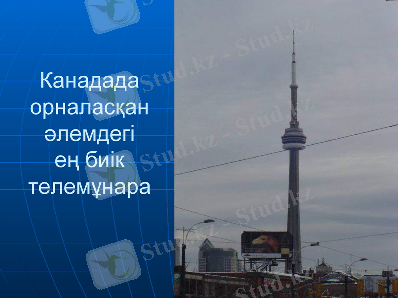 Slide 23