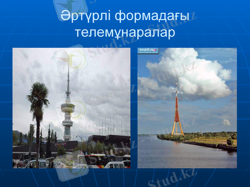 Slide 24
