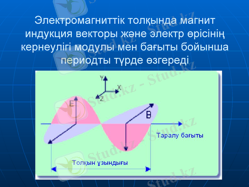 Slide 8