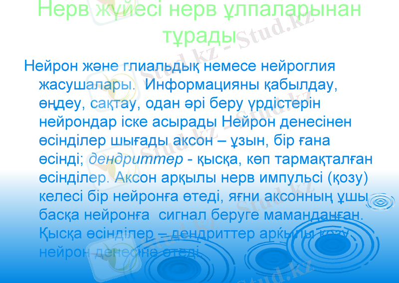 Slide 12