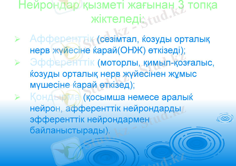 Slide 13