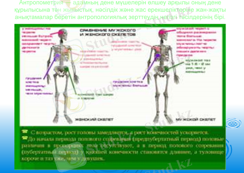 Slide 15