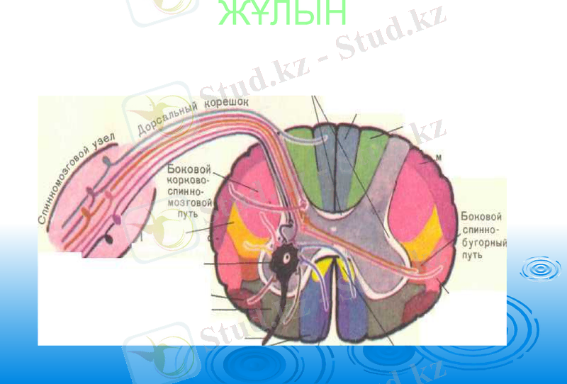 Slide 16