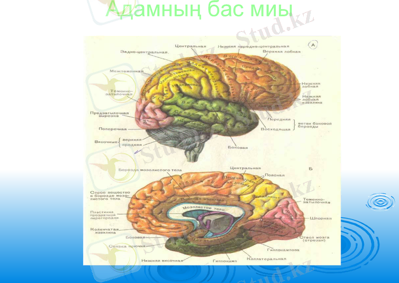 Slide 19