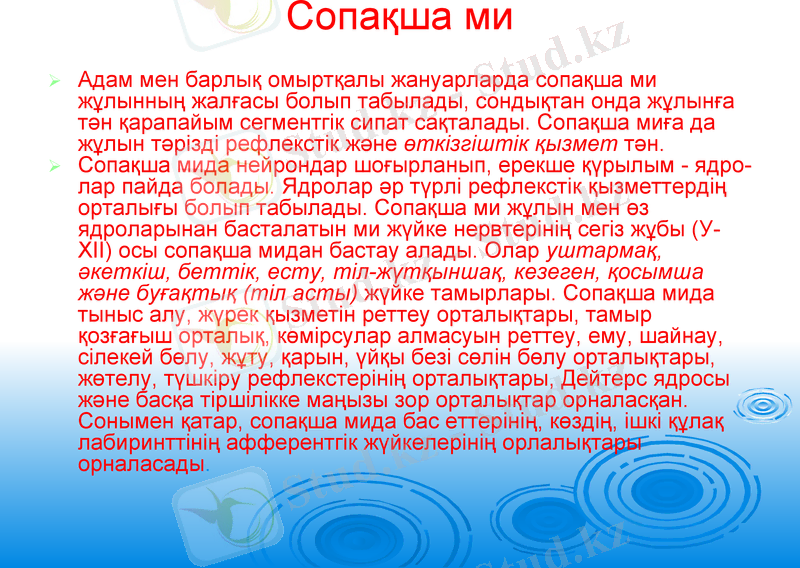 Slide 20