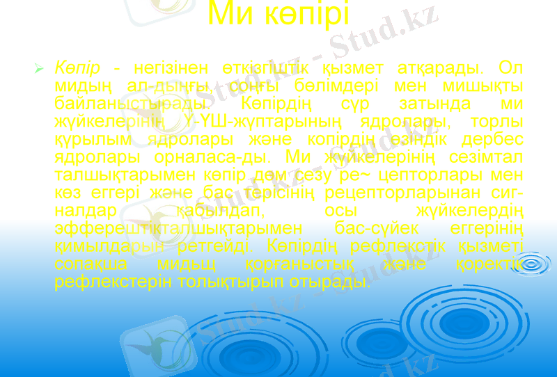 Slide 21
