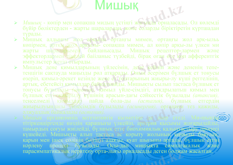Slide 22