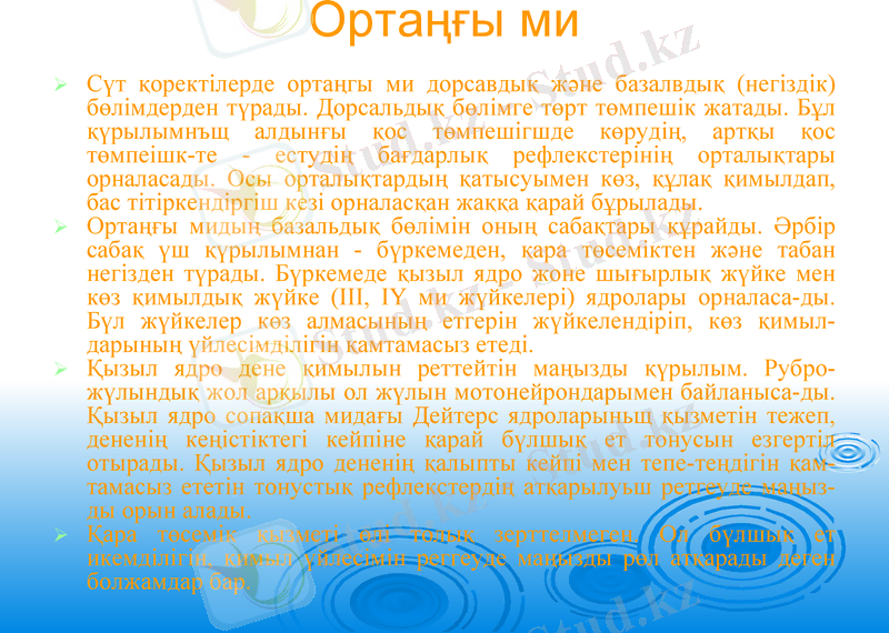 Slide 23