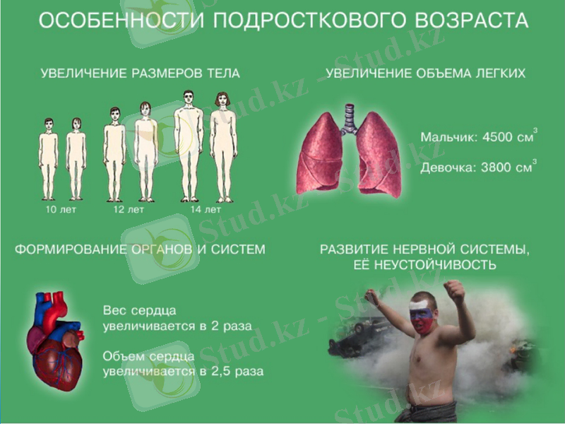 Slide 6