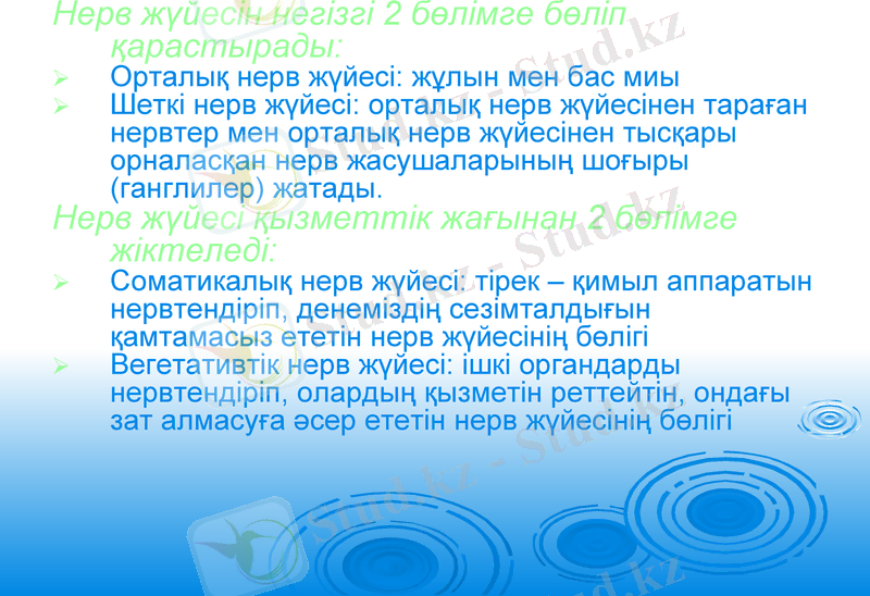 Slide 7