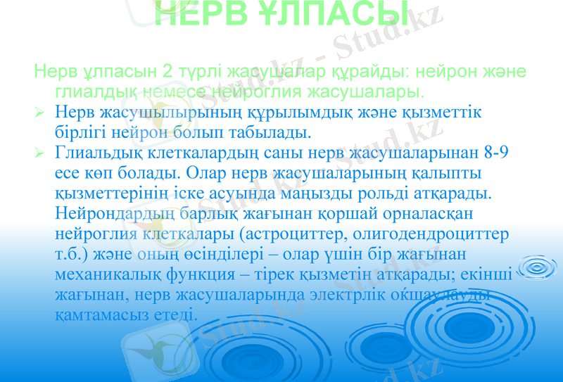 Slide 9
