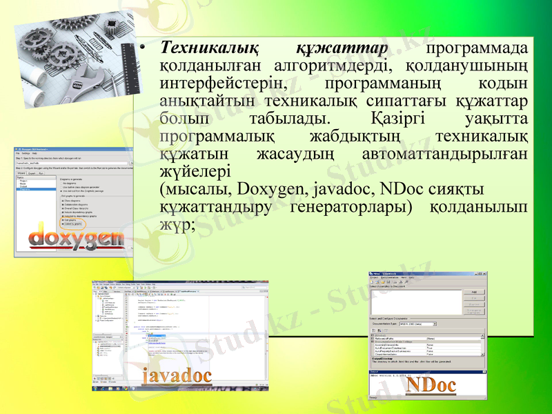 Slide 5
