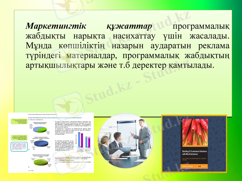 Slide 7