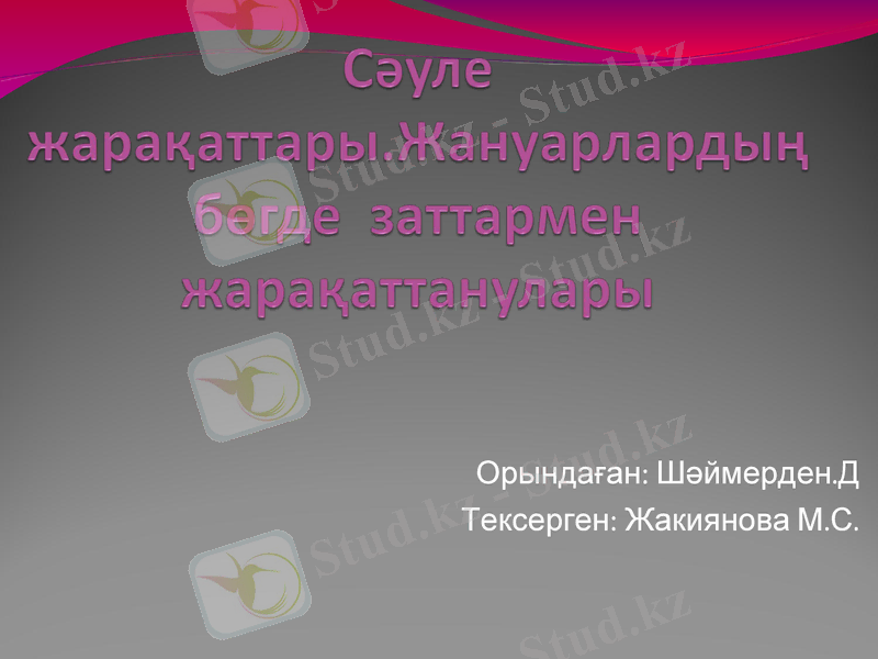Slide 1