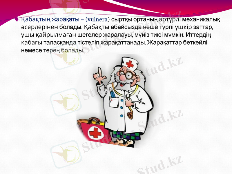 Slide 6