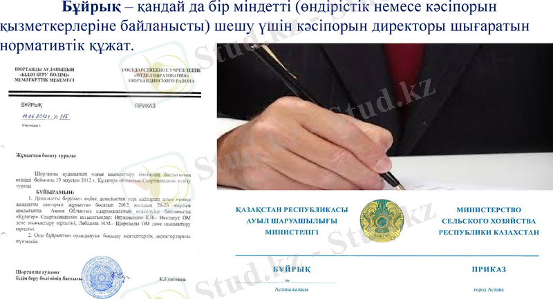 Slide 11