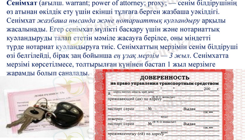 Slide 6