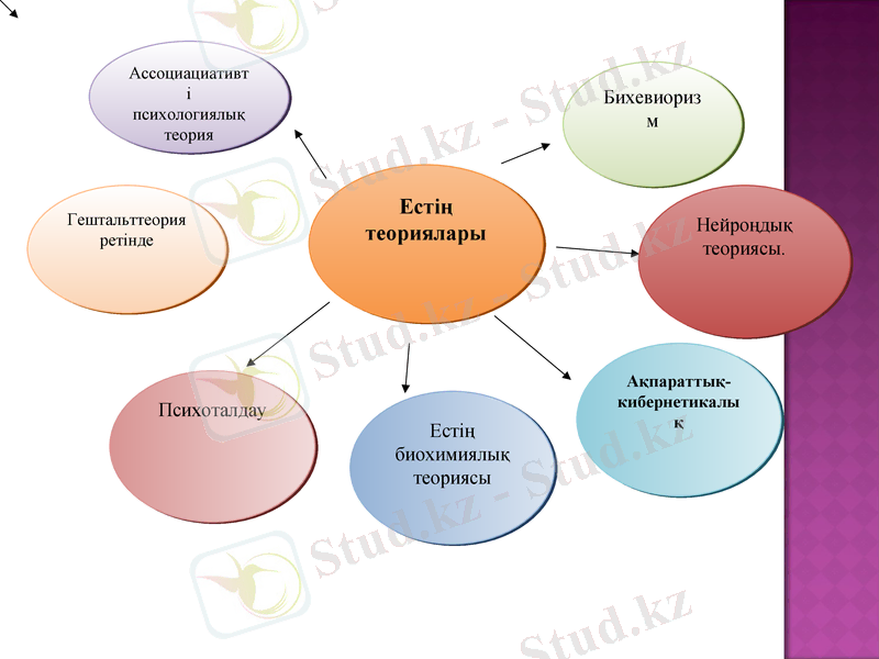 Slide 9