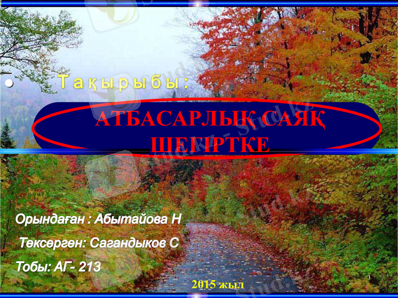 Slide 1