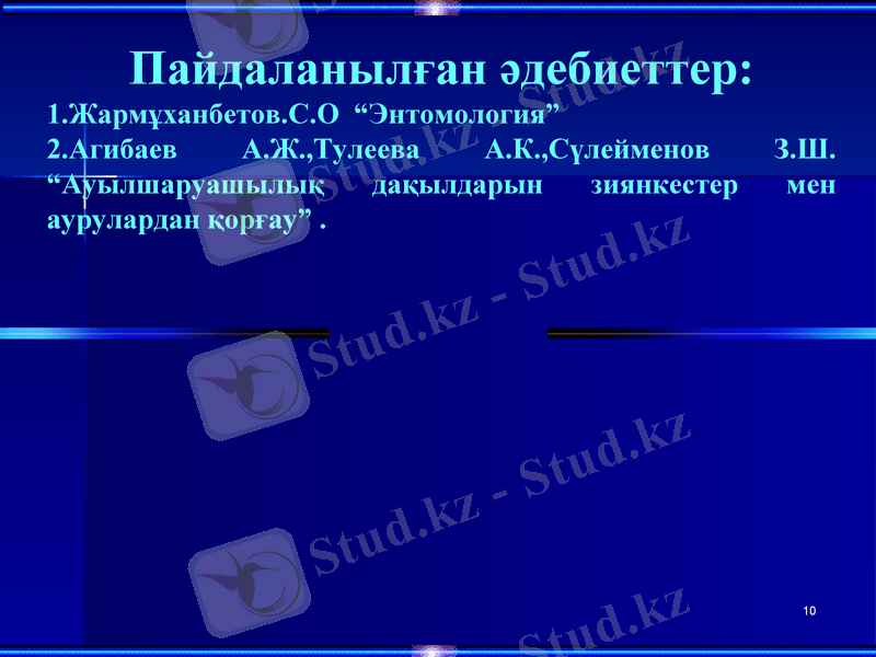Slide 10