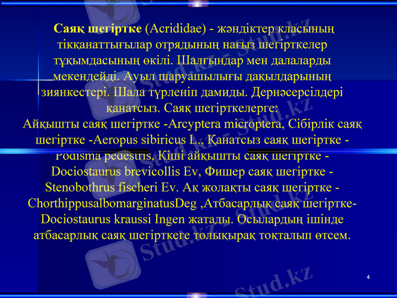 Slide 4