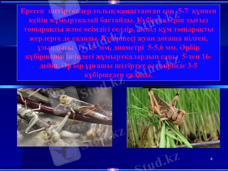 Slide 6