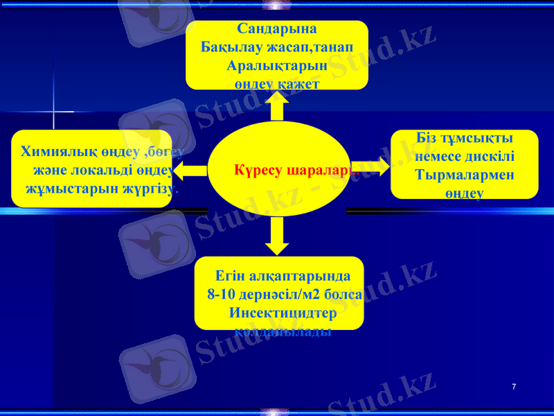 Slide 7