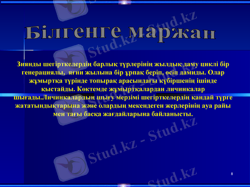 Slide 8