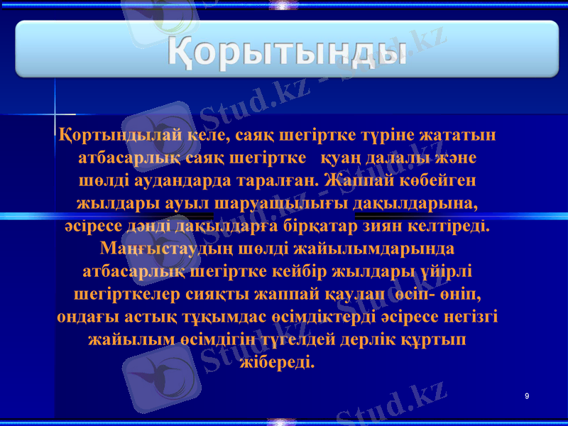 Slide 9