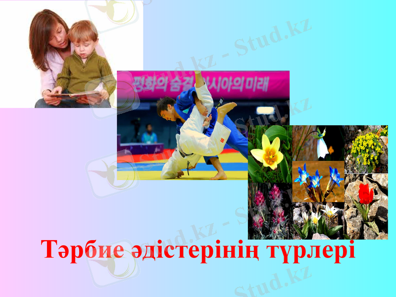 Slide 6