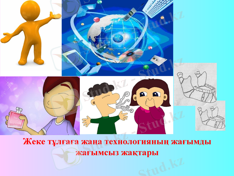 Slide 8