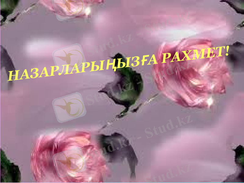 Slide 9