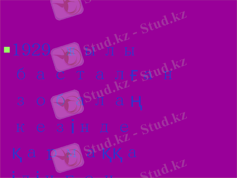 Slide 9
