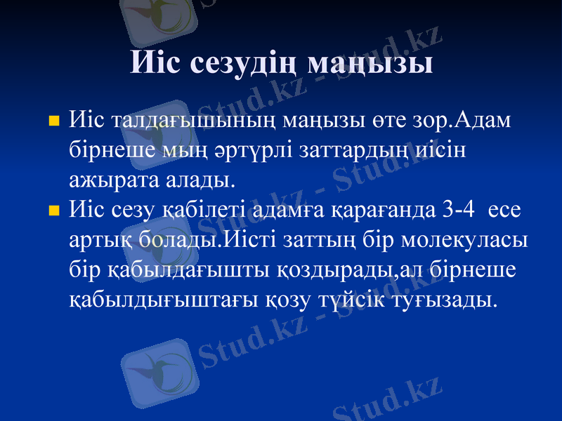 Slide 11