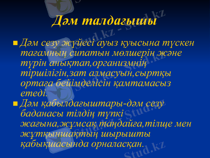 Slide 12