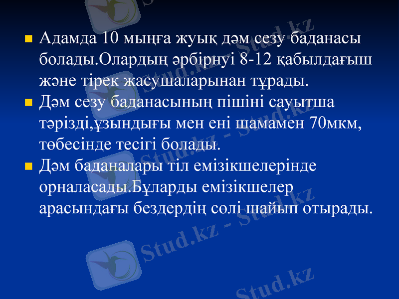 Slide 13