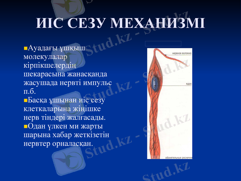 Slide 6