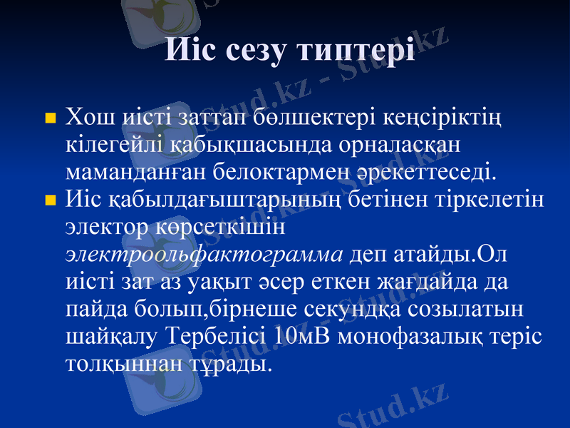 Slide 7