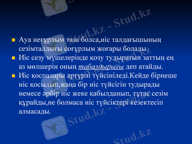 Slide 8